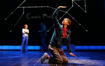 The Curious Incident Of The Dog In The Night-Time