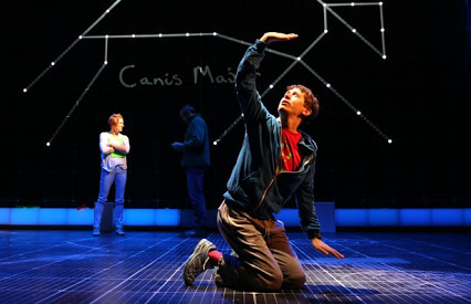 The Curious Incident Of The Dog In The Night-Time