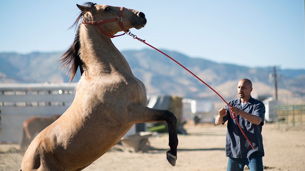 Movie Review: “The Mustang”