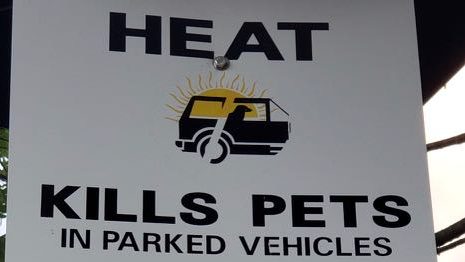 Picture Of The Day: Heat Kills Pets