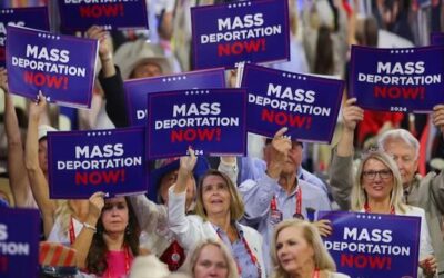 Mr. Perspective on Mass Deportation