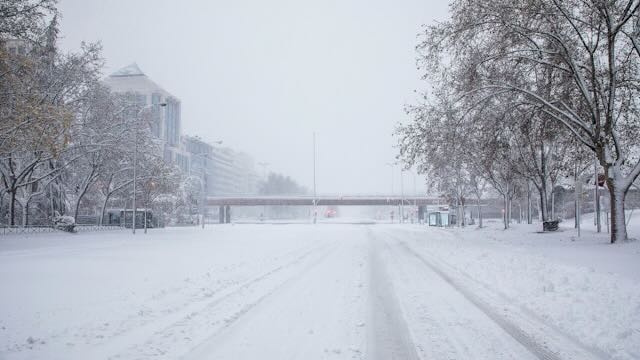 Snow Day In The City